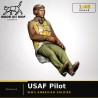 1:48 - WW2 Pilote USAF