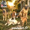 0 (1: 43.5) - Hunde