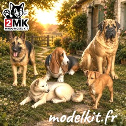 0 (1: 43.5) - Cani