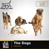 1:35 - Les Chiens