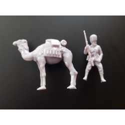 1:35 Serie - WW2 WW1 British Imperial Camel Corp 2