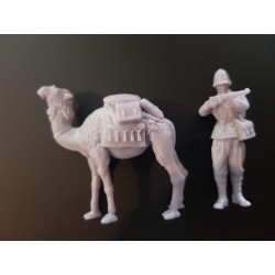 1:35 Serie - WW2 WW1 British Imperial Camel Corp 4