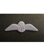 WW2 RAF Insignia de alas (fuerza aérea real)