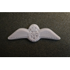 WW2 RAF Insignia de alas (fuerza aérea real)