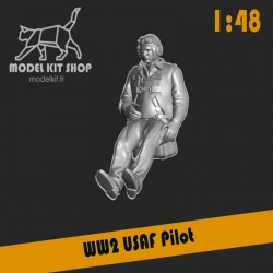 1:48 - WW2 USAF pilot
