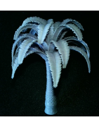 1:35 - WW2 Afrika korps - Grand Palm (Gift)12.5cm)