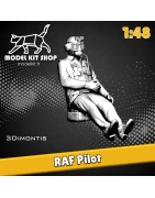1:48 - RAF-Pilot aus dem 2. 