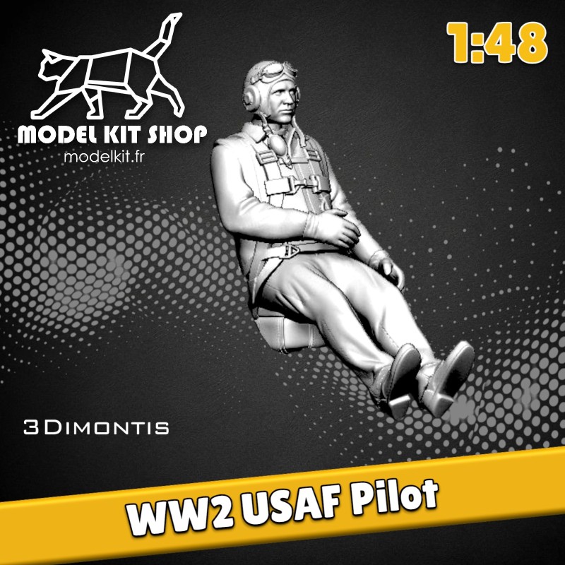 copia 1:48 - WW2 Pilote Luftwaffe