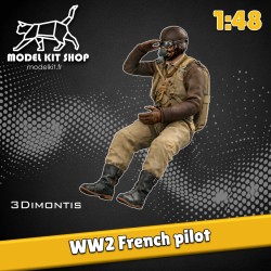 1:48 - WW2 French Pilot