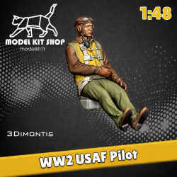1:48 - Pilota dell'USAF della Seconda Guerra Mondiale