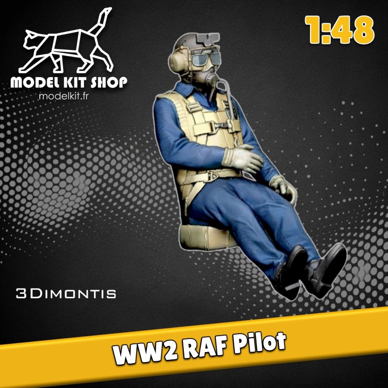 1:48 - WW2 RAF Pilot