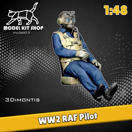 1:48 - WW2 RAF Pilot