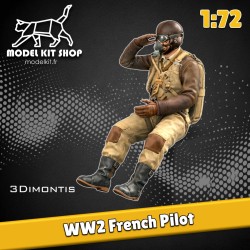 1:72 - WW2 Pilote Français