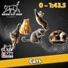 0 (1:43.5) - Les chats