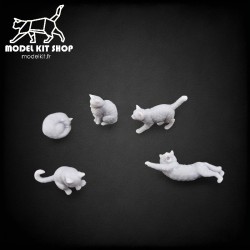 1:35 - gatos