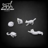 1:35 - Katzen