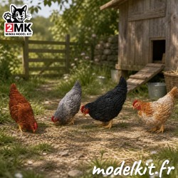 1:35 - Le galline