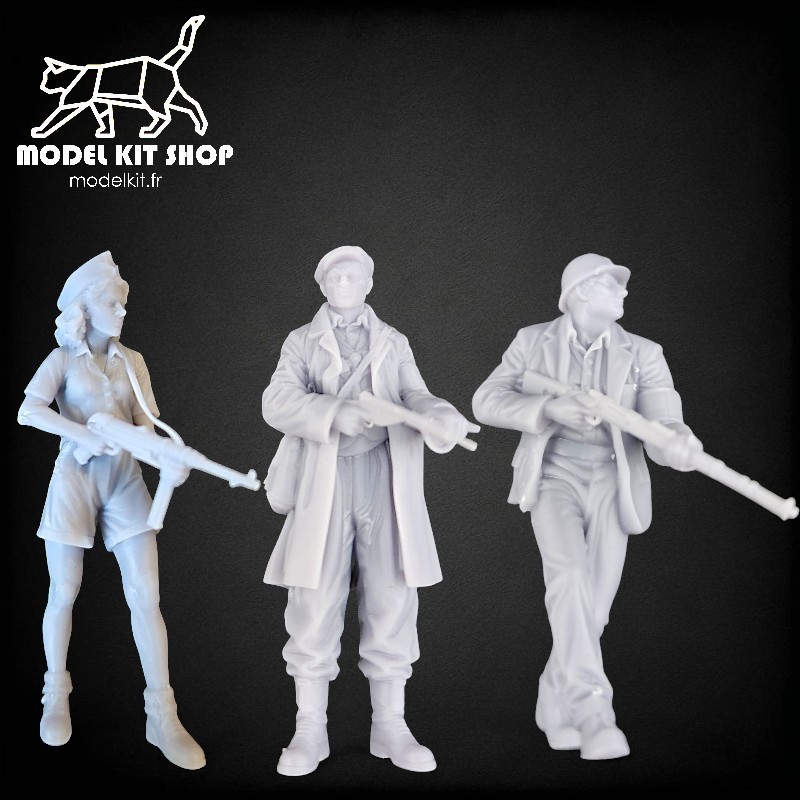 1:72 - WW2 resistente a francés