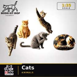 1:35 - Les chats