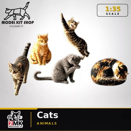 1:35 - Les chats